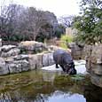 王子動物園