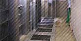 滝