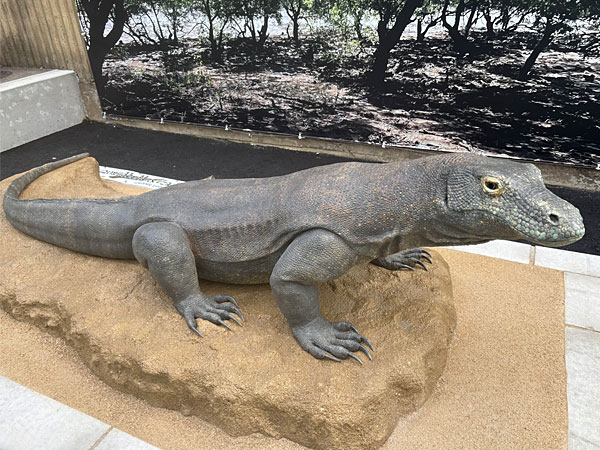 コモドオオトカゲ・レプリカ