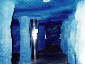 Cgl
