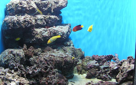 葛西水族園