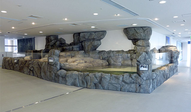 海遊館リニューアル工事・イワトビペンギンプール（新・体感エリア）