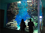 museum53_2