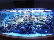 museum54_2