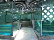 museum60_1