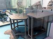 museum61_1