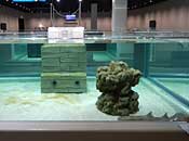 museum67_1
