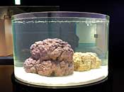 museum68_2