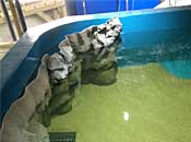 museum69_2