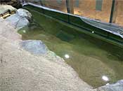 museum71_2