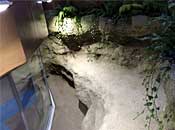 museum72_1