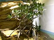 museum73_2