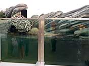 museum75_1