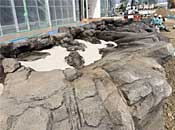 museum76_1