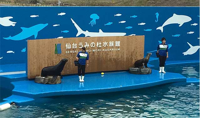 仙台水族館（仮称）新築工事・ショープール擬岩工事（うみの社水族館）