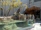 museum79_1
