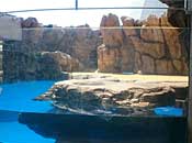 museum79_1