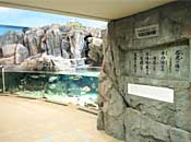 museum80_1