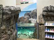 museum80_2