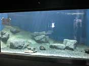 museum82_2
