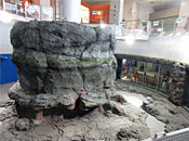 museum88_1