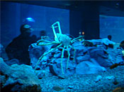 museum88_1