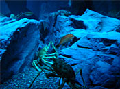 museum88_1