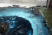 museum88_1