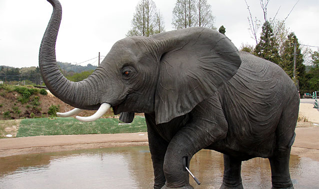 秋吉台自然動物公園サファリランド・キッズサファリ・２期工事/ゾウの水鉄砲