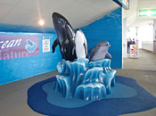 dolphin monument