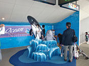 dolphin monument