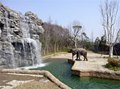 Samsung Everland/Lost Valley/Bird Breeding Center