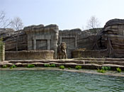 Samsung Everland/Lost Valley/Elephant