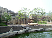 Samsung Everland/Lost Valley/Education Center