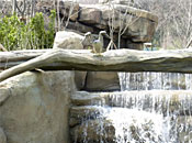 Samsung Everland/Lost Valley/Water Way