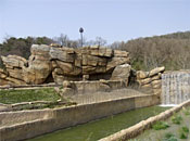 Samsung Everland/Lost Valley/Rhinoceros