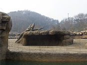 Samsung Everland/Lost Valley/Rhinoceros