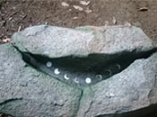 jWQm