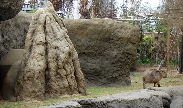 擬岩・擬木