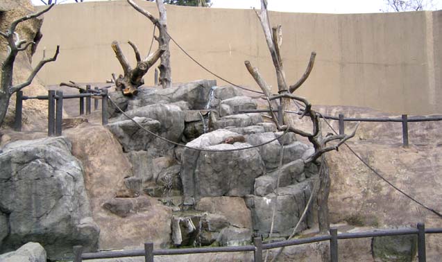 到津の森公園園・サル山