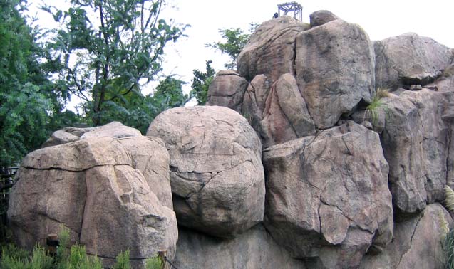 到津の森公園サバンナ　擬岩