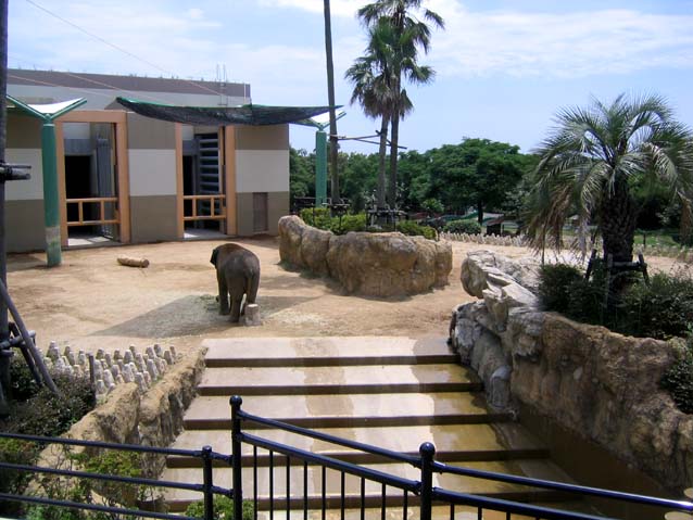 宮崎市フェニックス自動動物園・ゾウ舎　擬岩