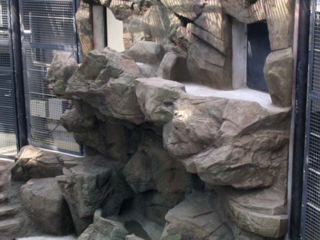 多摩動物公園　オラウータン舎　擬岩