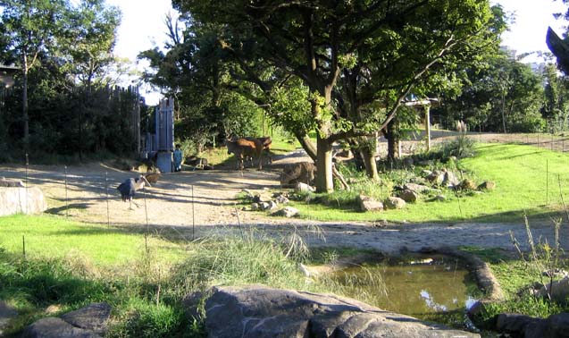 天王寺動物園・草食ゾーン