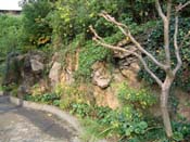 天王寺動物園アイファー　擬岩
