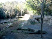 よこはま動物園ライオン舎　擬岩