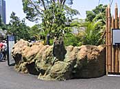 上野動物園・ゾウ舎　擬岩　擬木