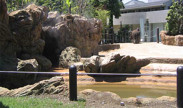 上野動物園・ゾウ舎　擬岩