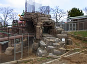 大森山動物園・マーコール舎　擬岩