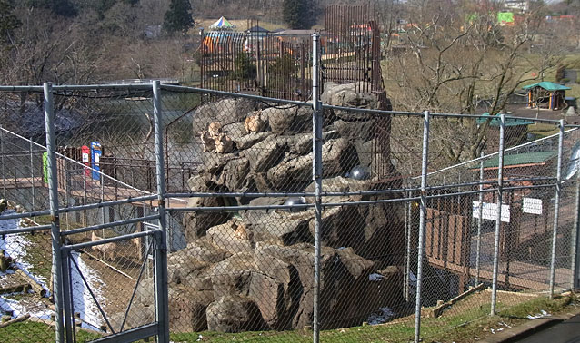 大森山動物園・マーコール岩山